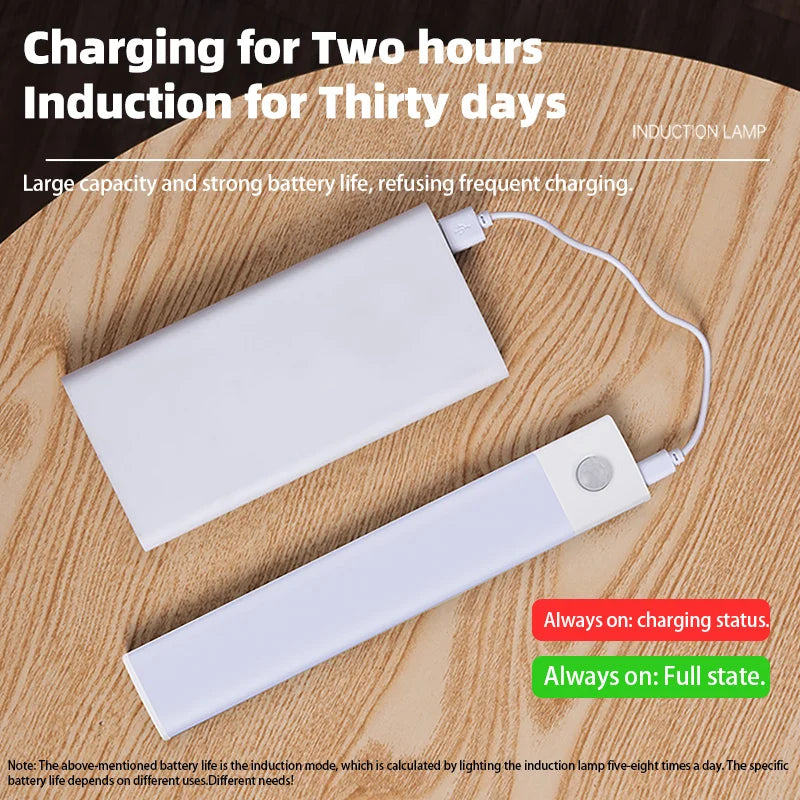 Motion Sensor Wireless LED Night Light USB Rechargeable