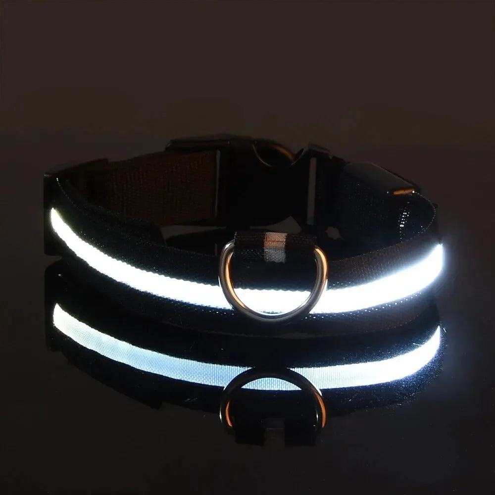 Nylon LED Night Safety Flashing Glow In The Dark Dog